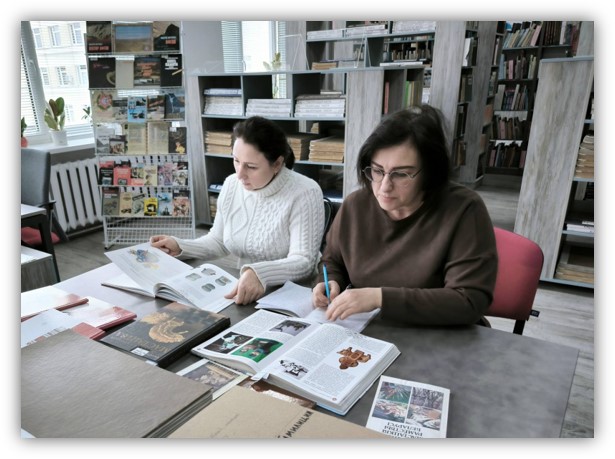 Библиотека